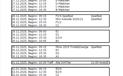 Hallenturniere in Stemmer